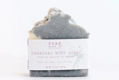 Charcoal Mint Soap